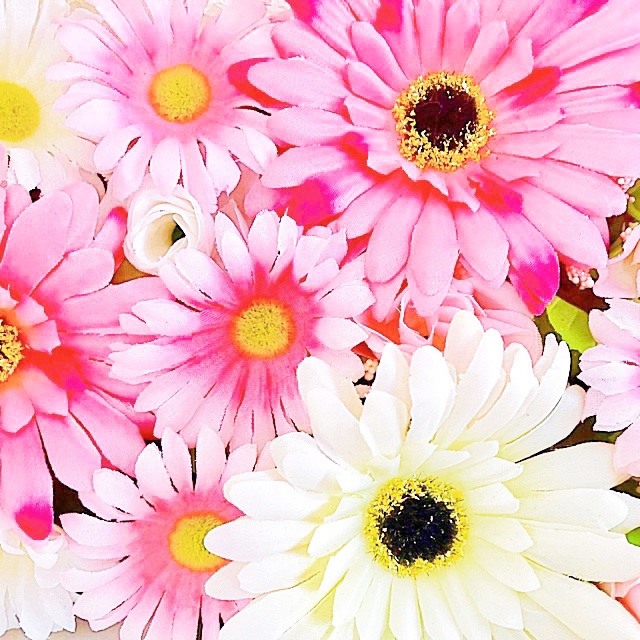 花さま　専用 カード検索 ｜ Z/X - Zillions of enemy X - ゼクス公式サイト