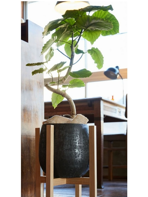 クレイ/Aluminium Pot_25φ24H BLACK/570-011-802