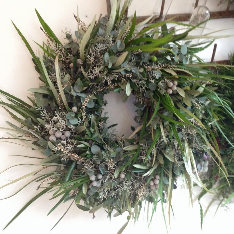 1853貴重植物 ボスウェリア アスプレニフォリア 実生株 【落ち葉です