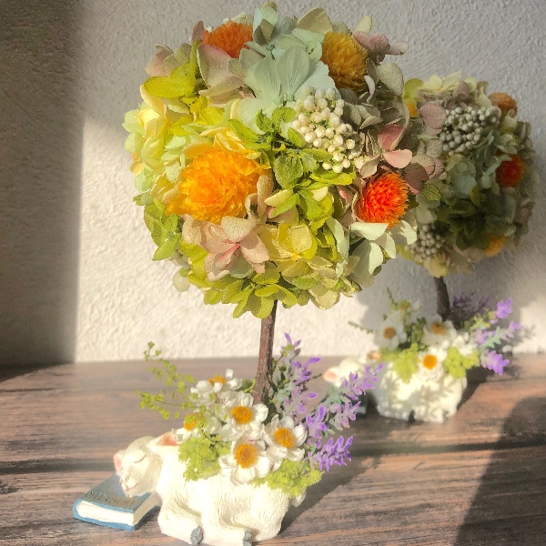 春のうたた寝フレッシュグリーン.トピアリー