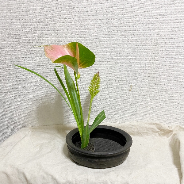 巨大アンスリウムとアワの自由花