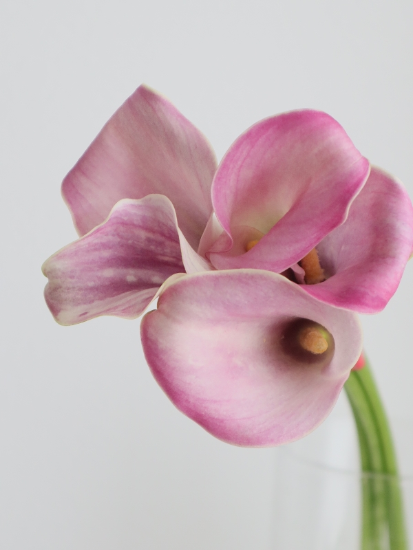 レッド曼珠沙華アレンジ　クレイフラワー リクエスト、作りましたよ曼珠沙華 ～クレイフラワーで彼岸花