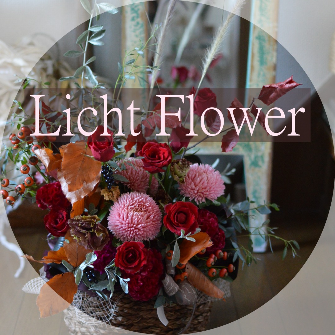 生花】ミモザアカシア(40cm程度)品種おまかせ 千葉県長作園など【FJ