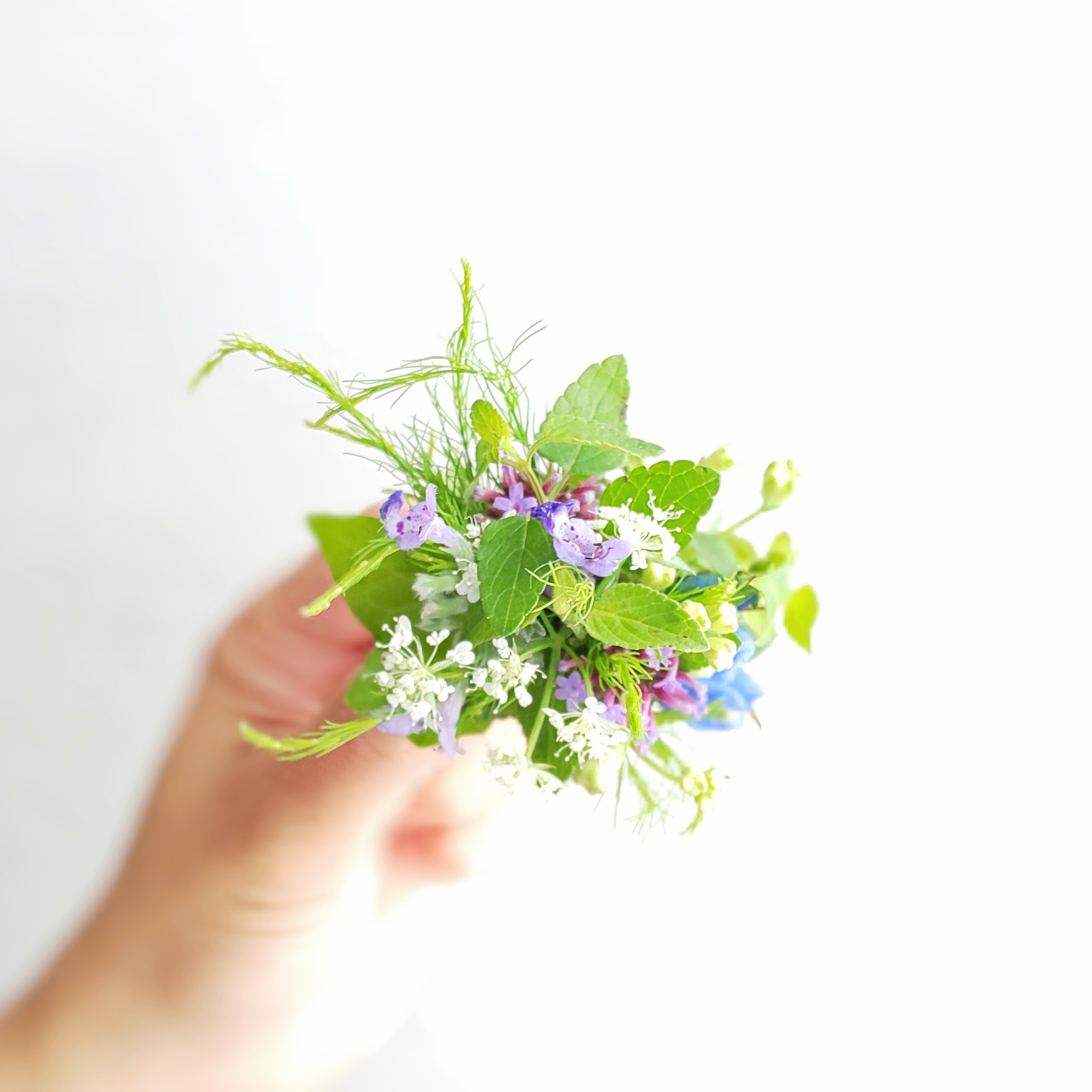 即日☆【造花】MAGIQ東京堂/薄紅の桜 落ち輪 48個/FM007045 - 花 即日☆【造花】MAGIQ東京堂/薄紅の桜 落ち輪 48個/FM007045 - 花