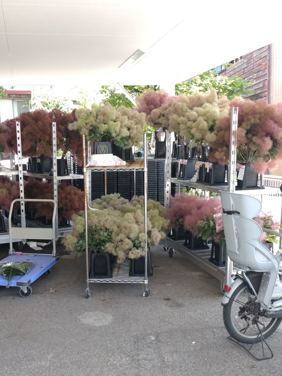 専用＊Christmas＊ブリキアレンジ(スモークツリー) 専用