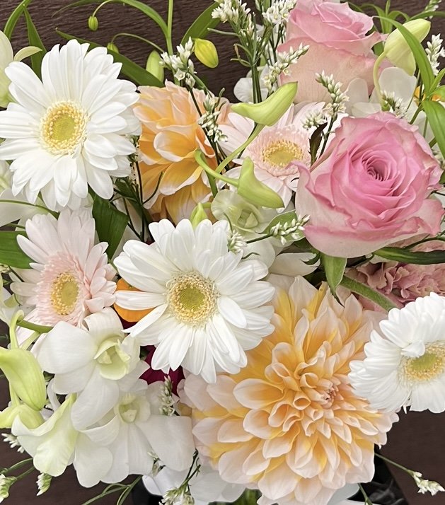 専用 ヒムロスギ50〜60cm150本 ﾋﾑﾛｽｷﾞ: プリザーブドフラワー ｜ YDM