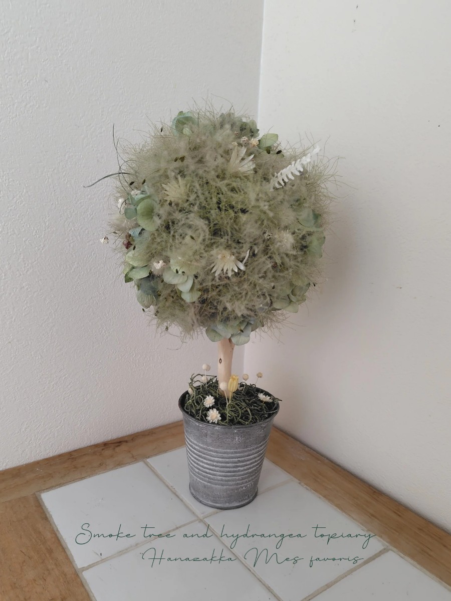スモークツリーと紫陽花のもくもくトピアリー