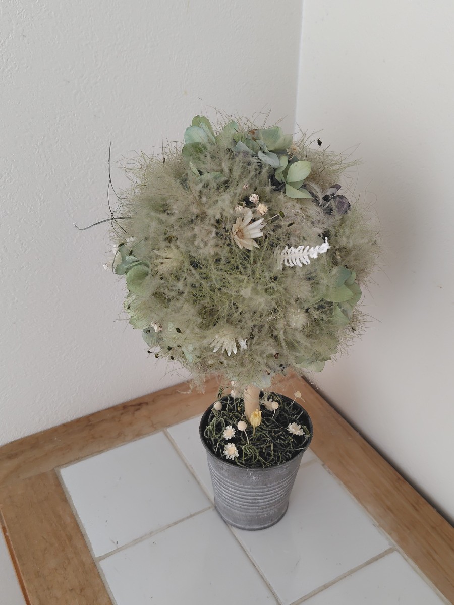 スモークツリーと紫陽花のもくもくトピアリー