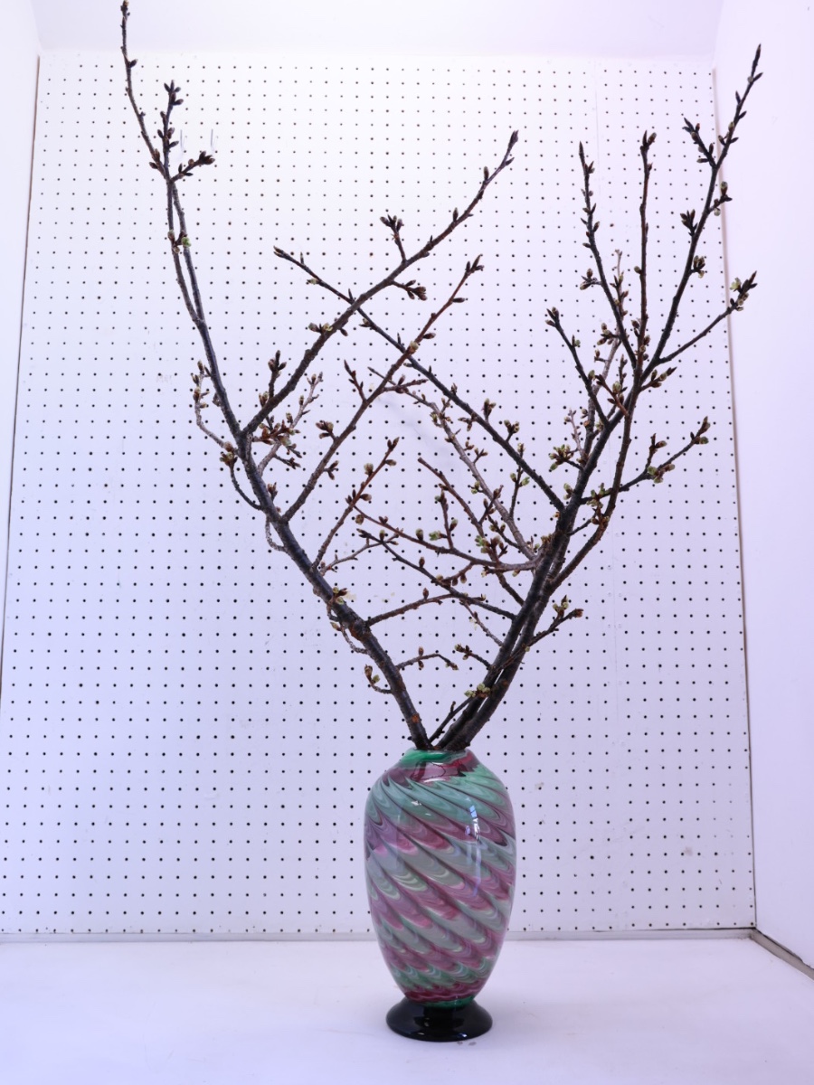 「河津桜」をいける