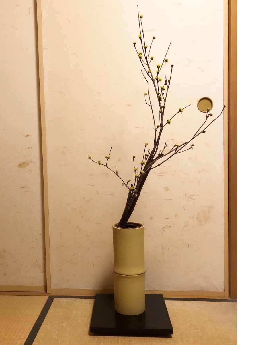 山茱萸のいけばな