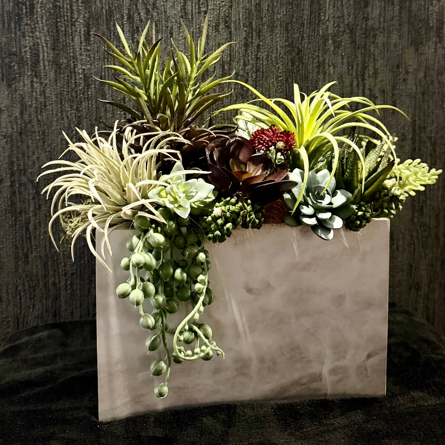 green interior 多肉植物