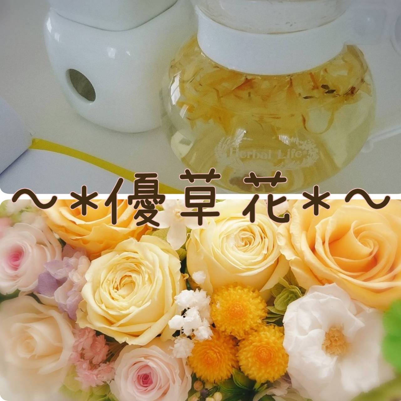即日☆【プリザーブド】大地農園/ペティーコート グリーン 約20g/04050