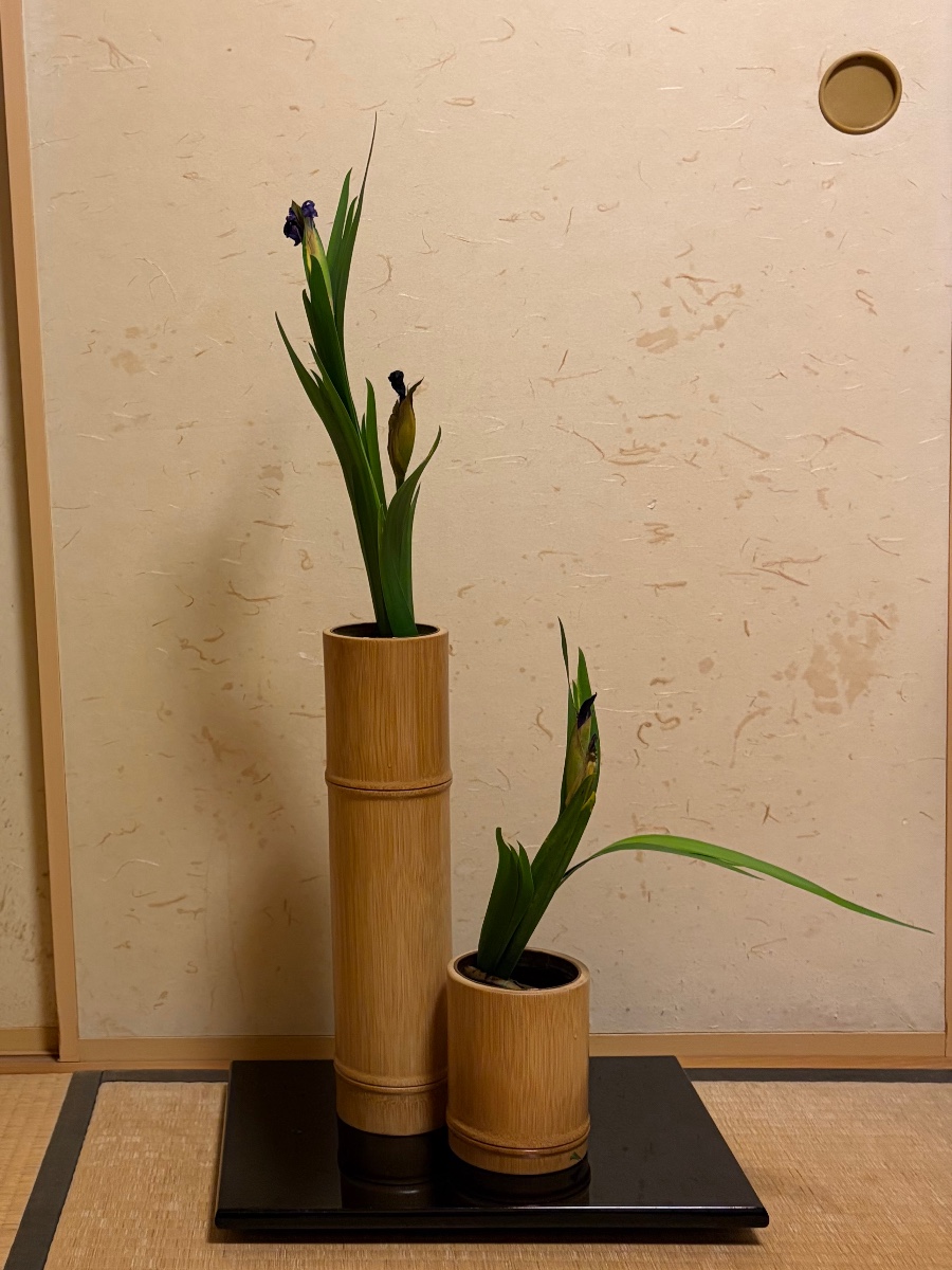 燕子花