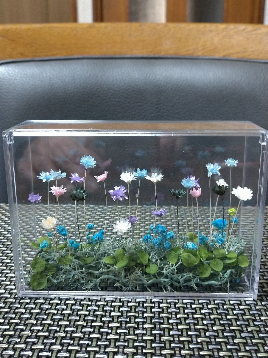 花畑