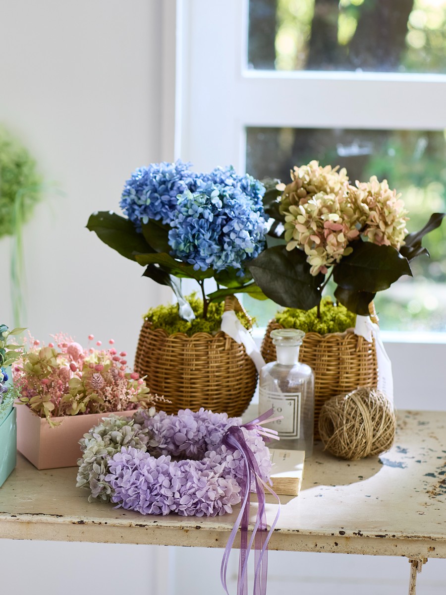 グラデーション紫陽花のアレンジ