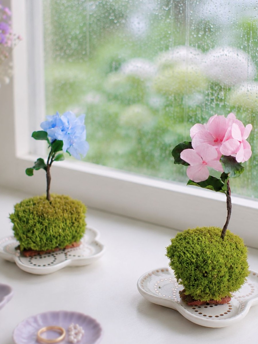 プリザーブドアジサイの苔玉