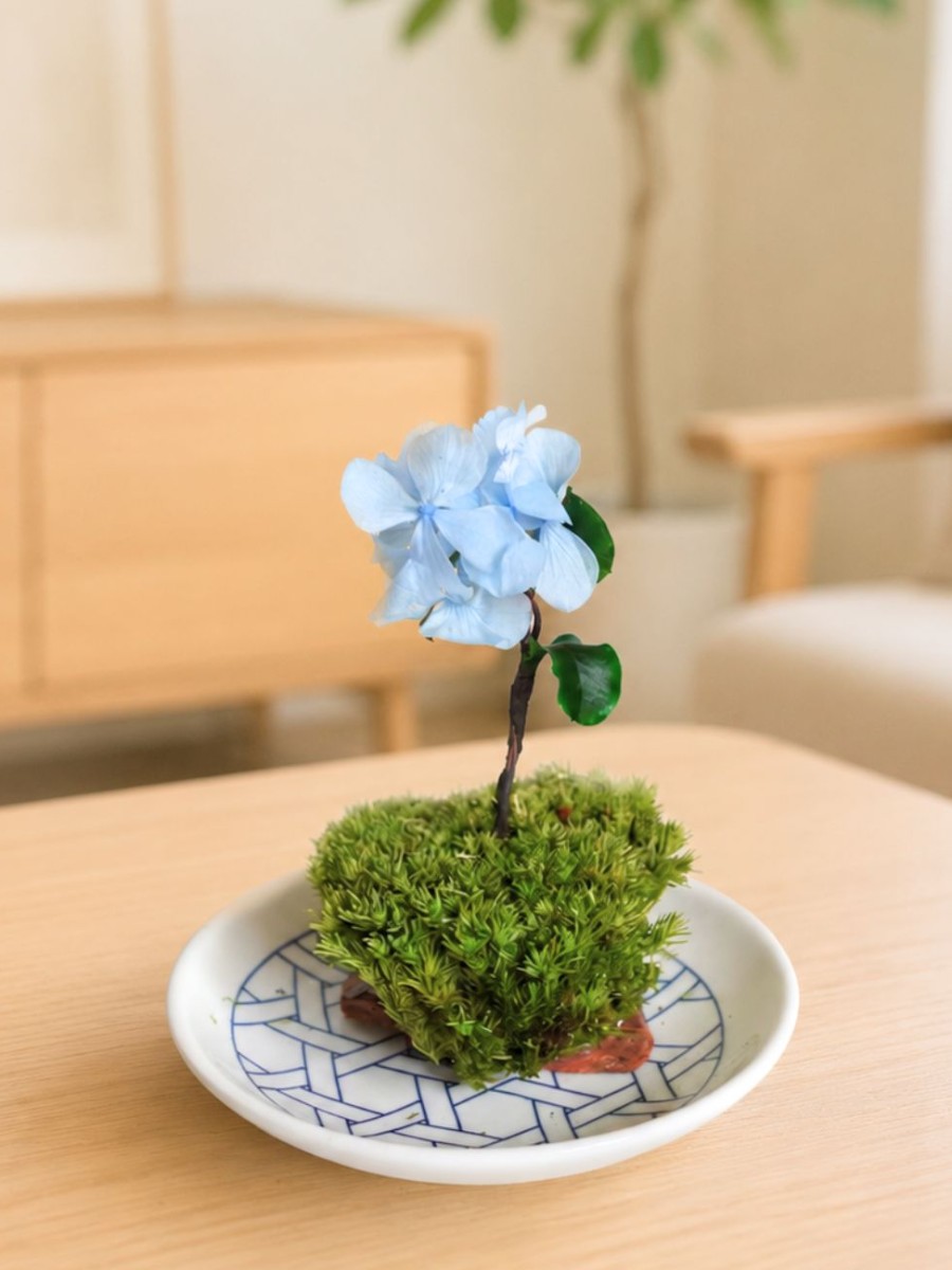 プリザーブドアジサイの苔玉