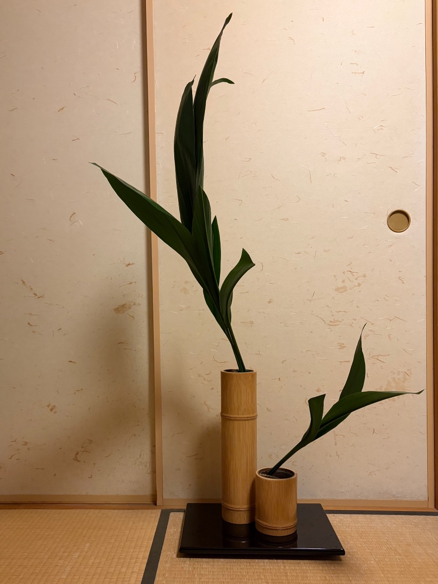 葉蘭のいけばな