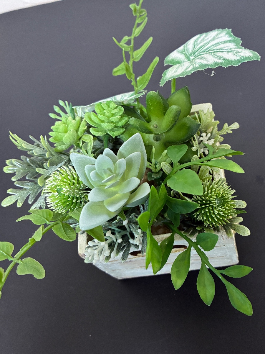 コンテナボックスで多肉植物の寄せ植え風に♪
