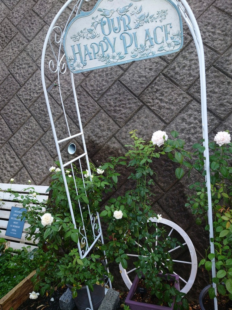 薔薇のアーチ