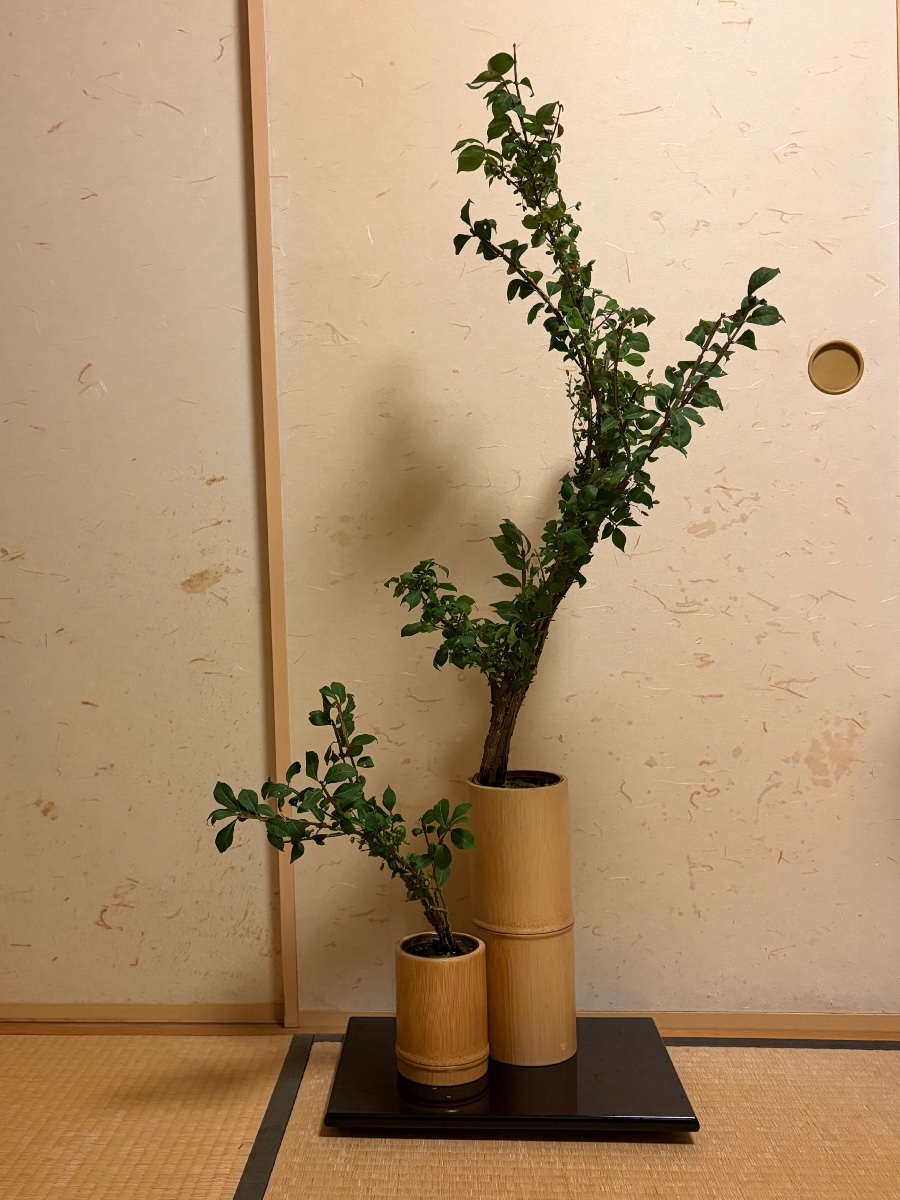 錦木を生けました
