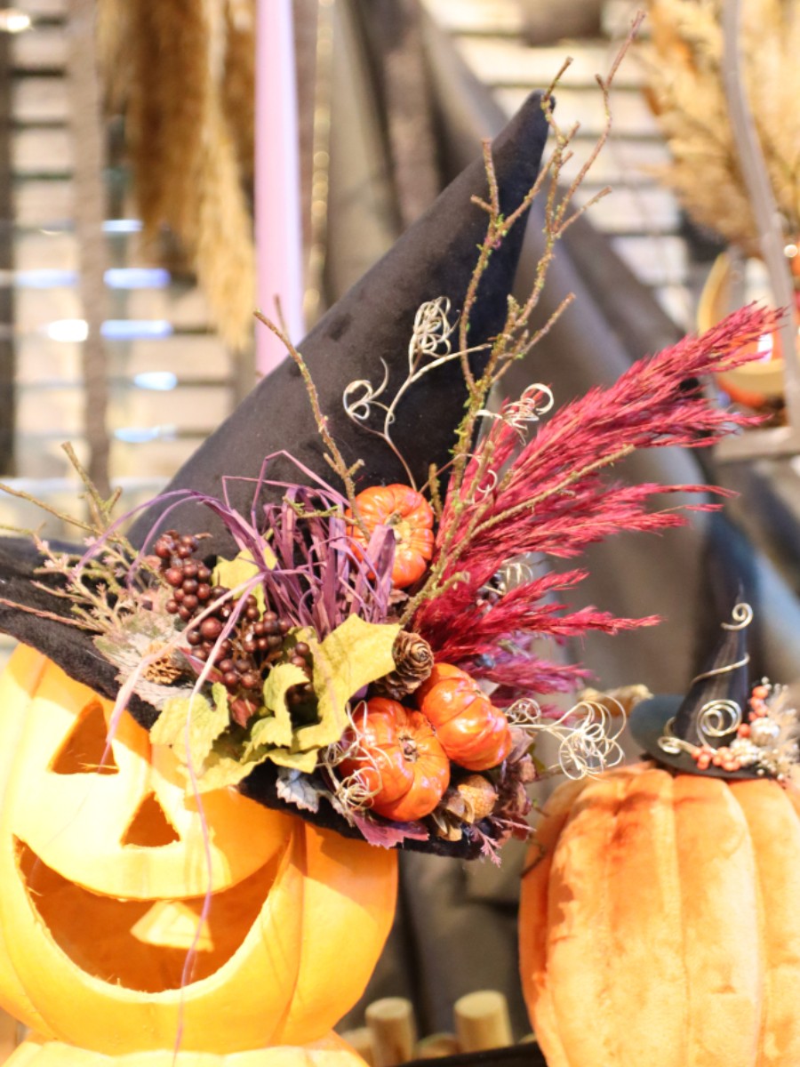 ペットとおそろい帽子ーハロウィンー