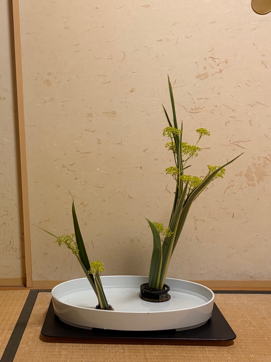 ニューサイランにおみなえしを添えて