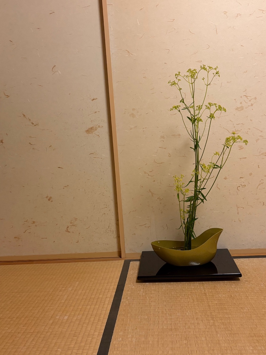 おみなえし