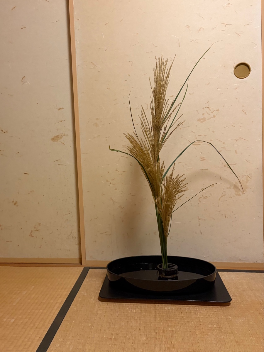 ススキを生けました