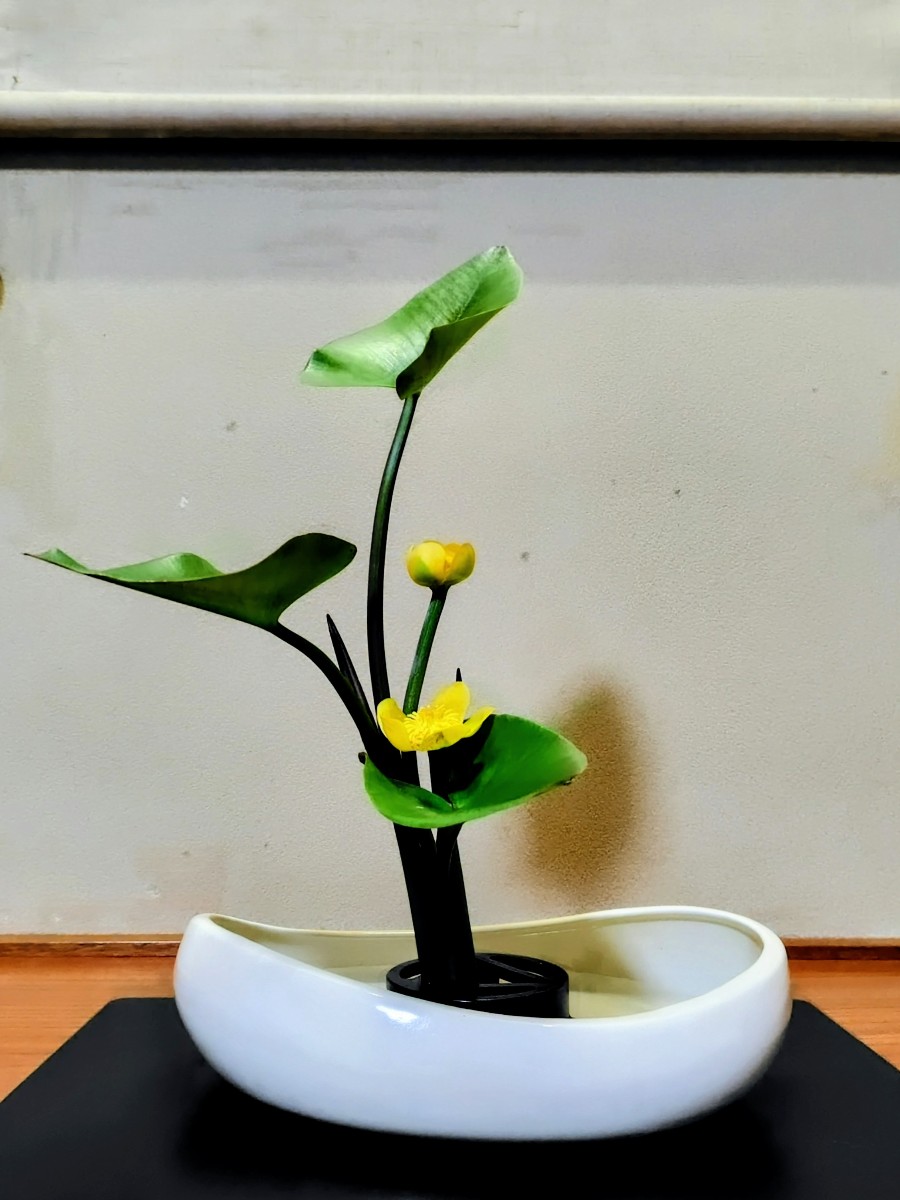 河骨 とてもかわいい、貴重な花材です。
産地直送ですので、新鮮で、溜めやすく水入れもスムーズにできました。 アンソレイエ