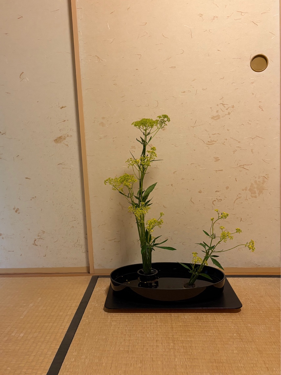 おみなえし