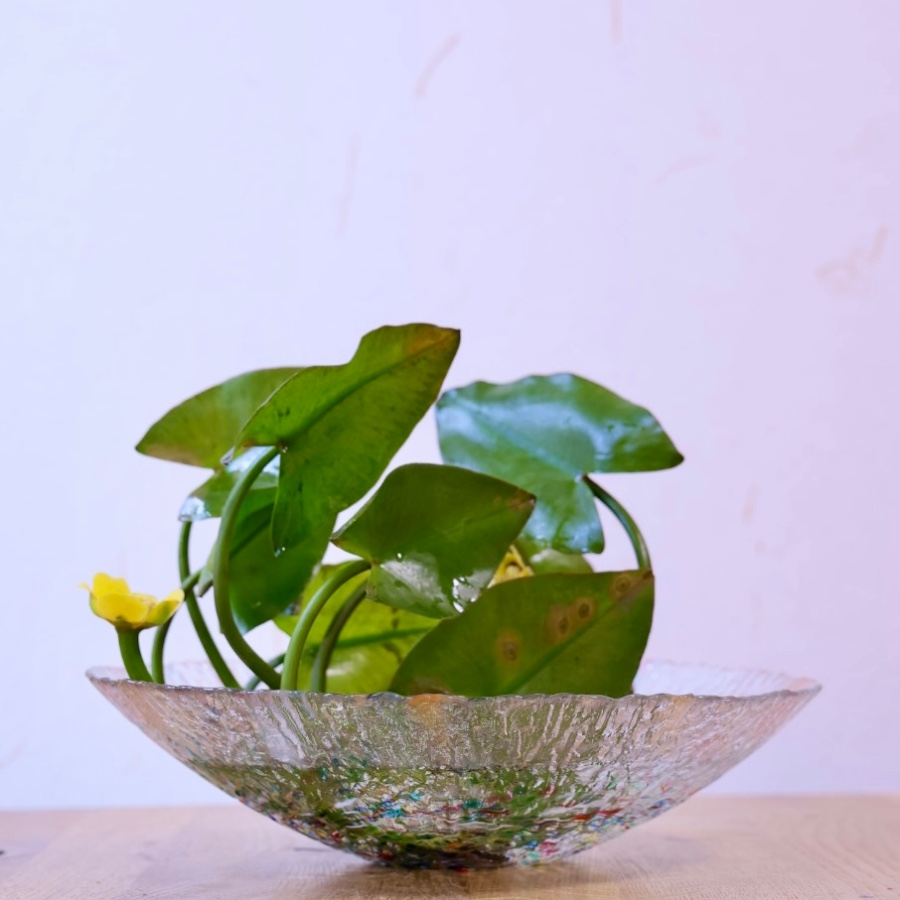 「河骨」をいける