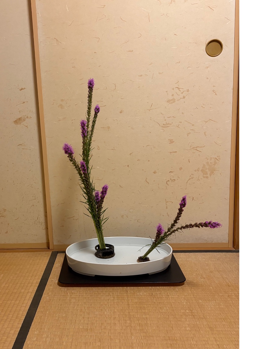 リヤトリスのいけばな