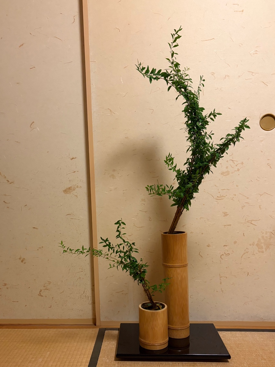 雪柳の生花