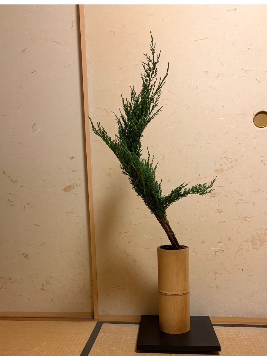はいびゃくしんの生け花 竹花器にはいびゃくしんを生けました。 華子