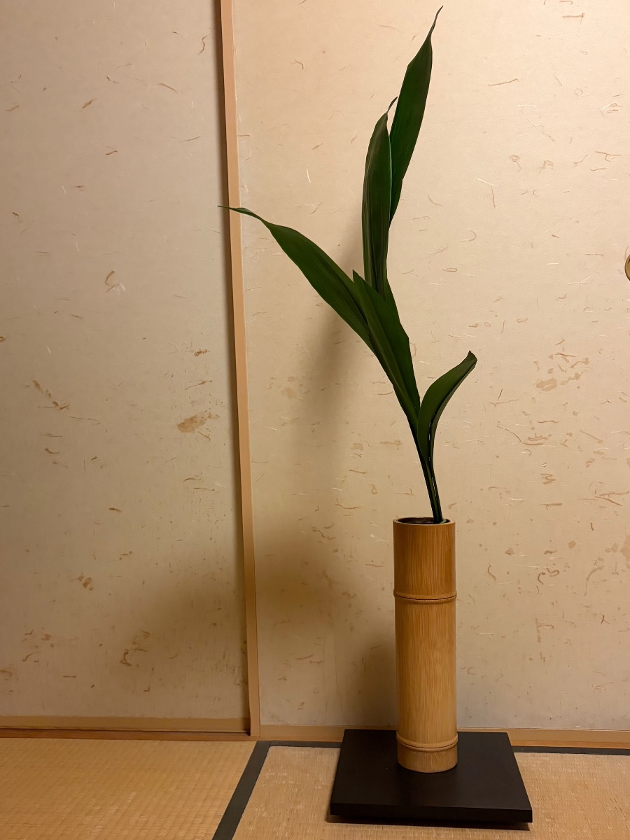 葉蘭 葉蘭5枚で生けています。 華子