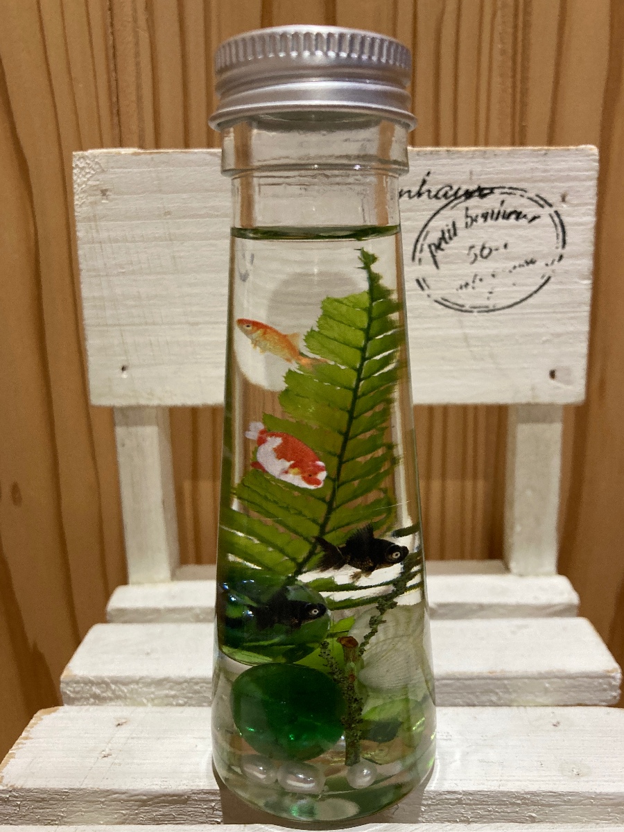 アクアリウムハーバリウム 可愛い金魚さんが泳いでいます???? 己采CoCoTo