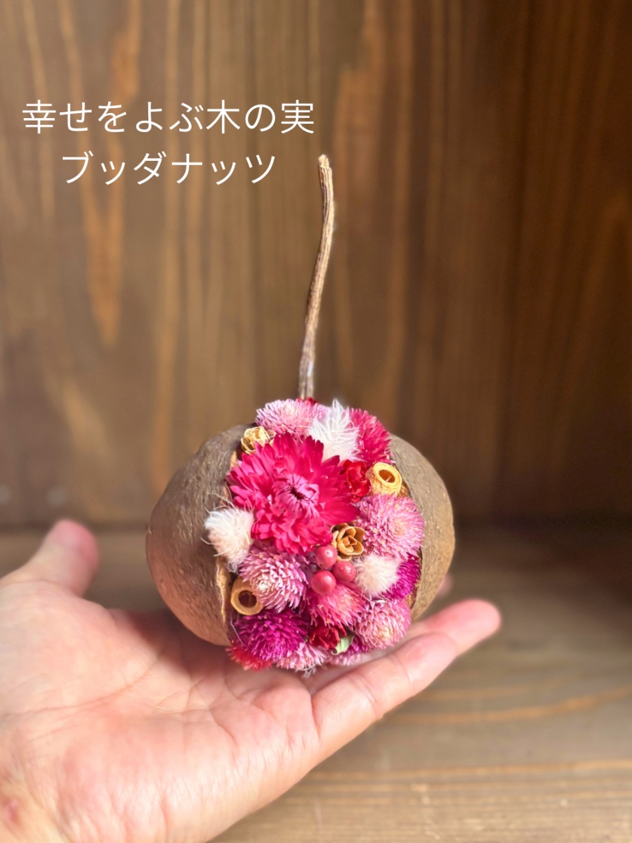 ピンクピンクのブッダナッツ 手のひらにのるサイズの
ブッダナッツに
ピンクの花達をちりばめて
可愛いアレンジにしました。
自然の素材の色は、少しずつピンクも
違っていて、それも楽しみながら
作りました。
 BOTANICAL LIFE maruneko｜植物雑貨まるねこ