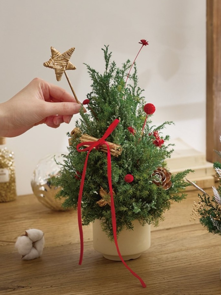 クリスマスツリー 場所を取らない卓上クリスマスツリー はなどんや投稿