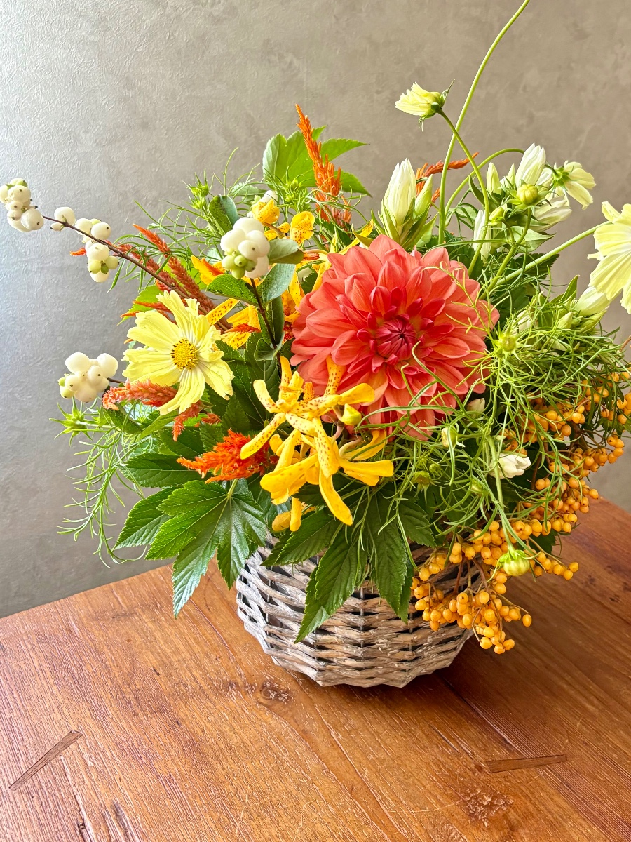 華やかな秋色アレンジメント 秋色といえばシックな色合わせを思い浮かべますが、華やかな秋色でアレンジしてみました
木苺ベビーハンズ、名前のとおり、葉の形がとっても可愛い！もしゃもしゃしたコスモスの葉とあしらうとお互いの個性を引き立 お花の教室CafeRose