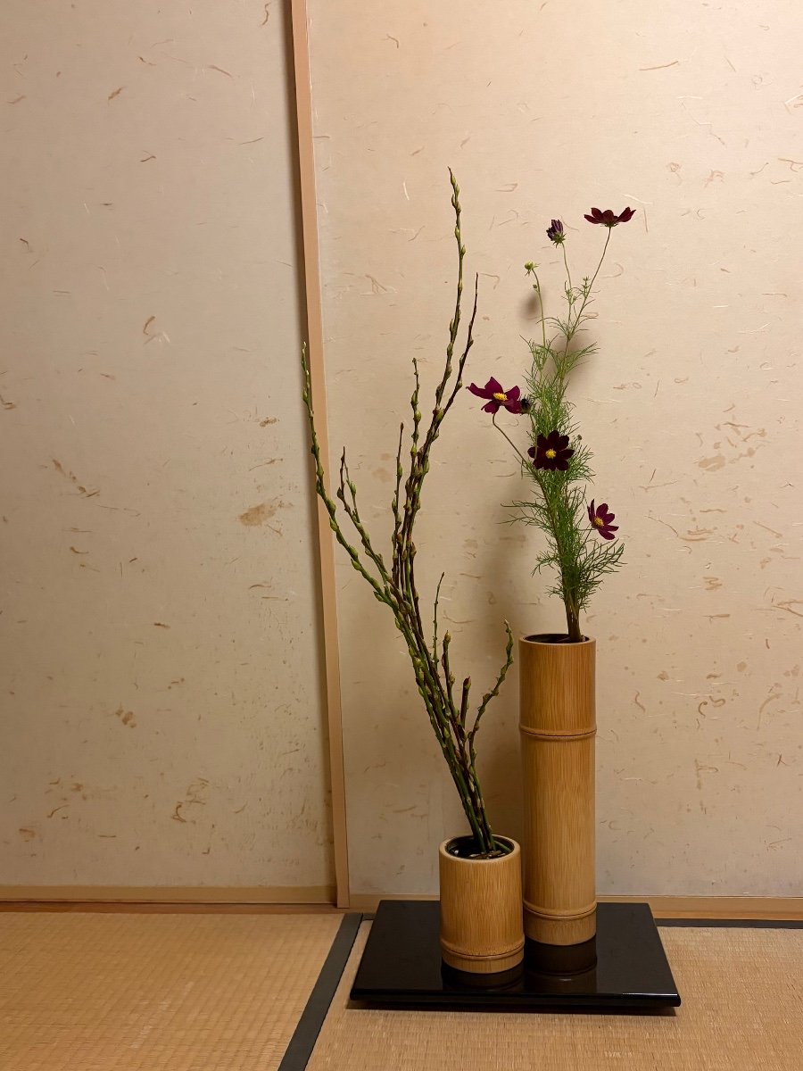 赤目柳を生けました 赤目柳（猫柳）を生けました。 華子