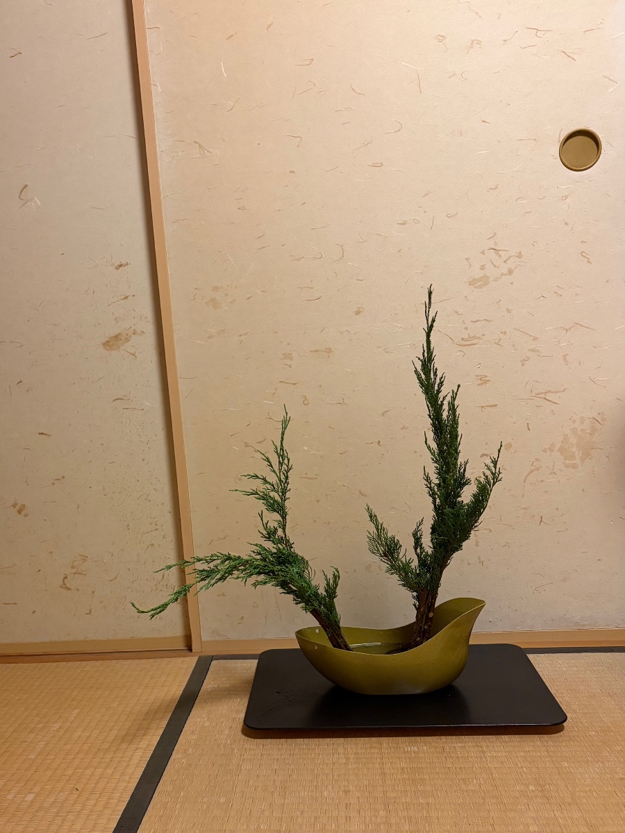 はいびゃくしんの生花 はいびゃくしん（コニファー）の縦姿横姿を生けました。 華子