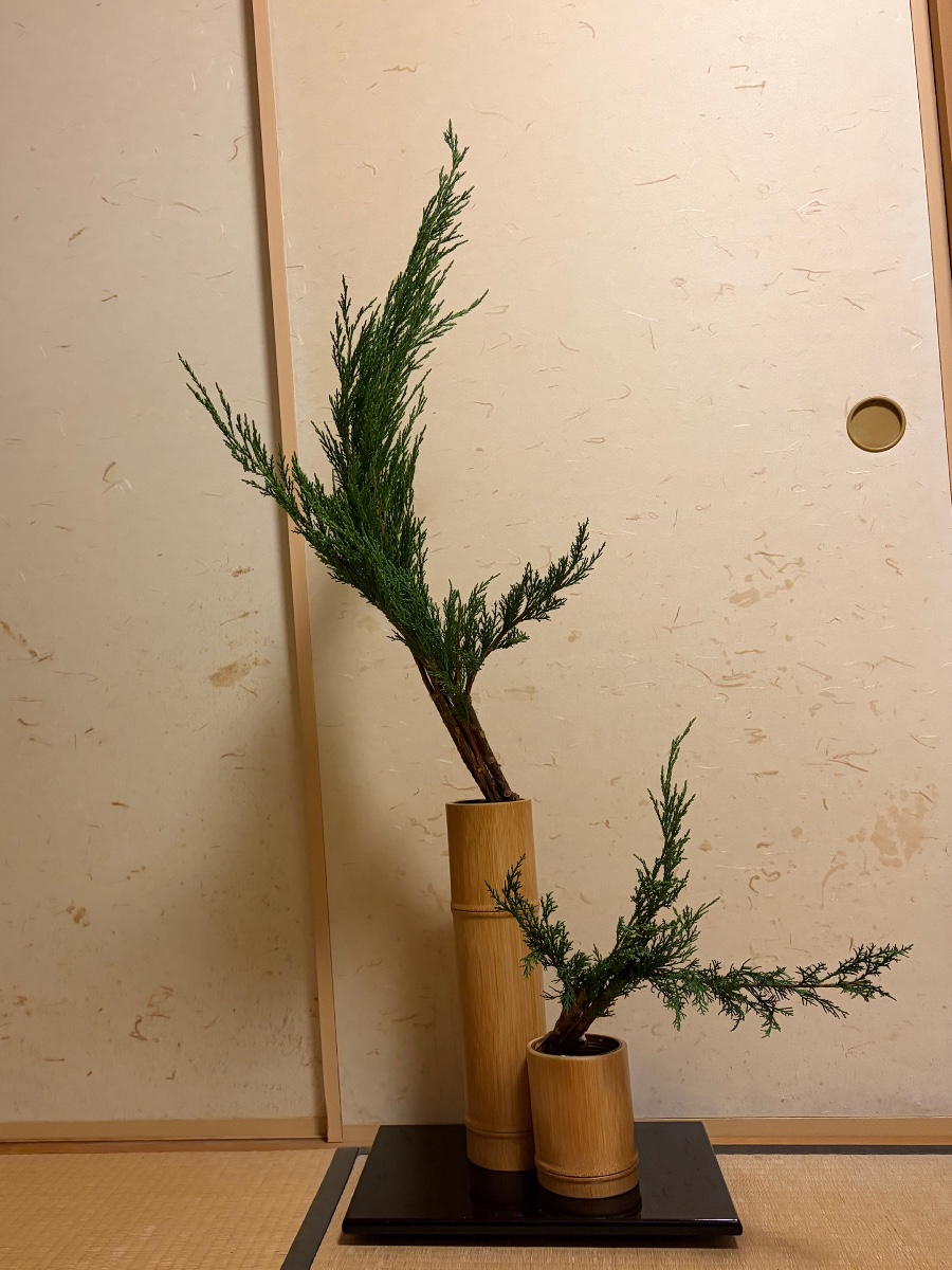 コニファーの生花 コニファーの生花を生けました。 華子