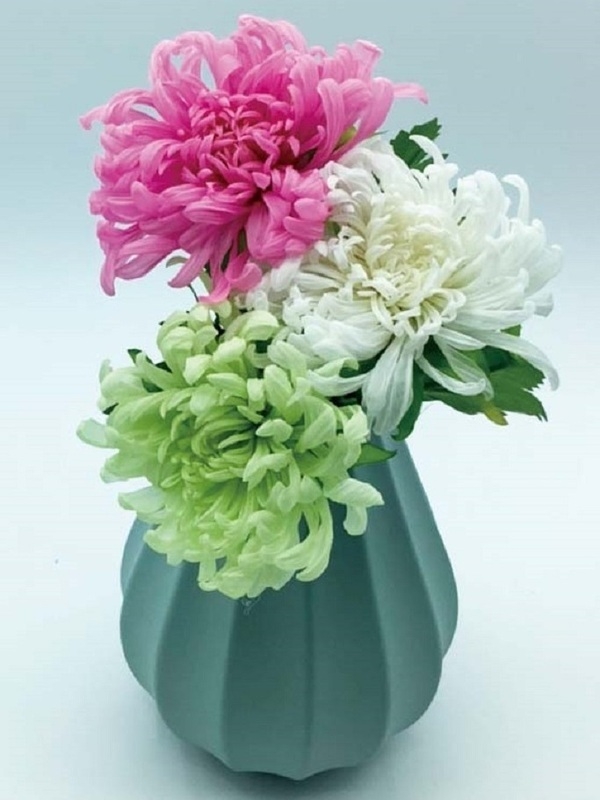 クレモンマムのお供え花