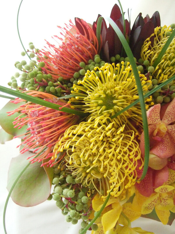 5本ピンクッション　タンゴ　ネイティブ　スワッグ  生花　切り花 - 5