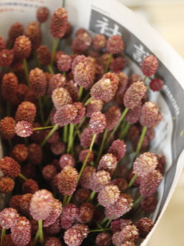 ワレモコウ 入荷終盤の状態 色 ボリューム By はなどんや投稿 フラコ