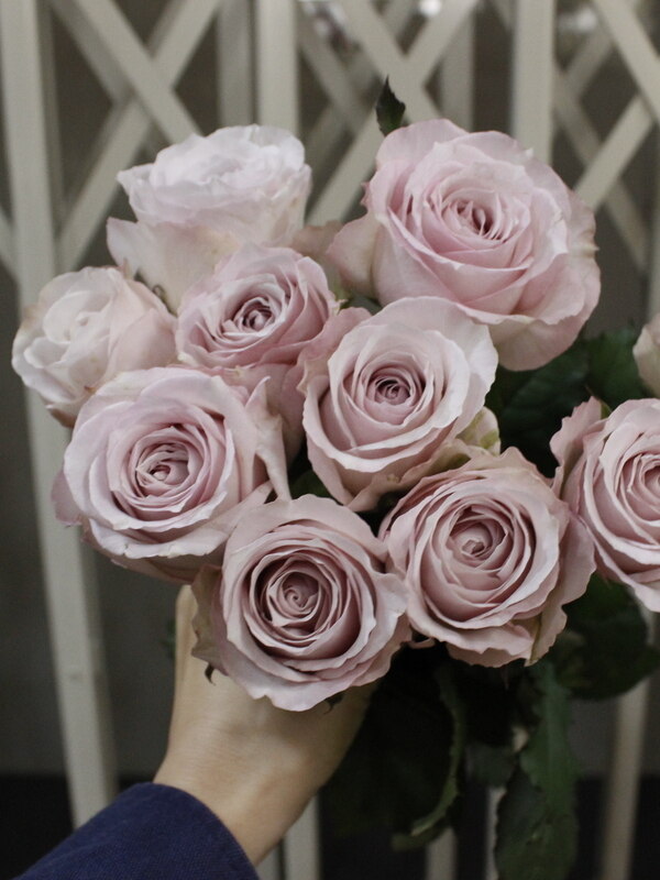 オランダ 楕円形 透かし 薔薇 オープンワーク ローズ ブローチ SILVER オランダ 楕円形 透かし 薔薇 オープンワーク ローズ ブローチ SILVER