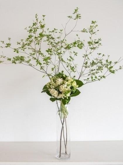 直前 アルストロメリア パール 白グリーン 小輪系 約60cm 生花 通販 はなどんやアソシエ