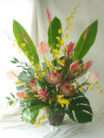 生花 ヘリコニア アンドロメダ オレンジ Ot 通販 はなどんやアソシエ