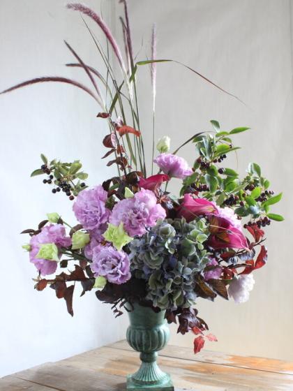 生花 星野さんのアロニア チョコベリー 60cm 通販 はなどんやアソシエ